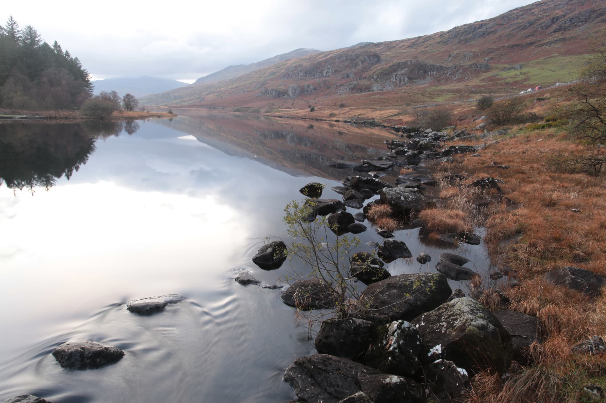 Dissolved Oxygen Sensors – Why Dissolved Oxygen Matters.