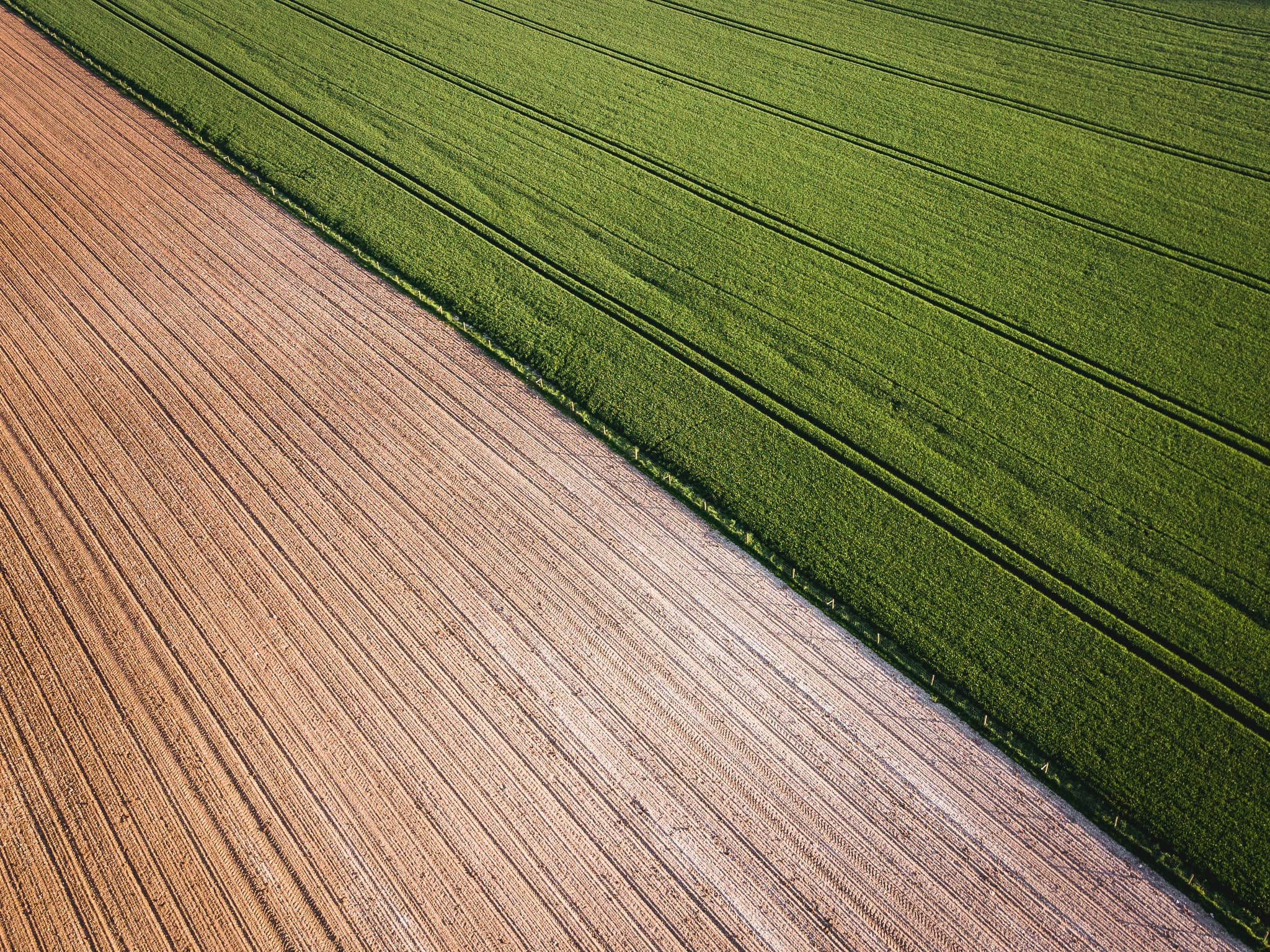 Benefits of Moisture Monitoring