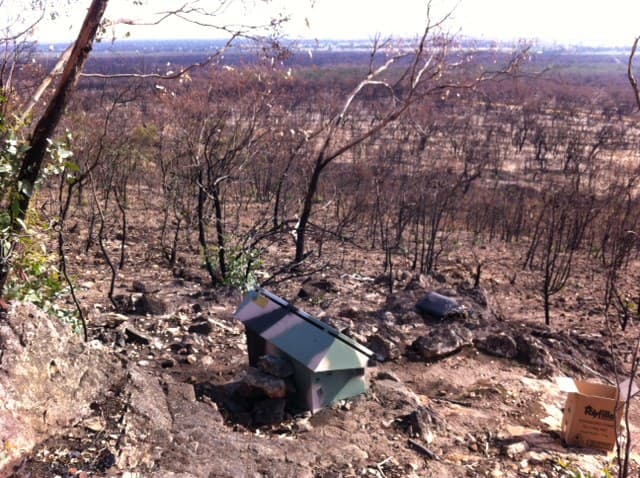Seismic instrumentation and bushfires