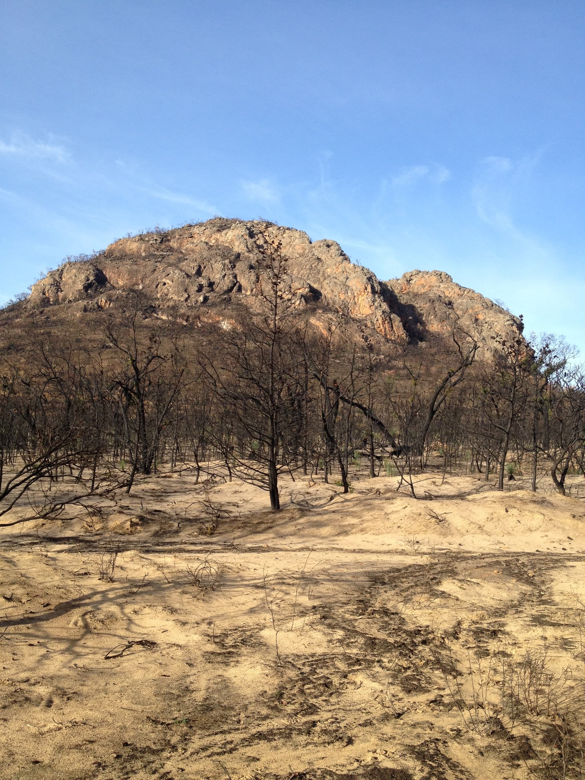 Seismic instrumentation and bushfires
