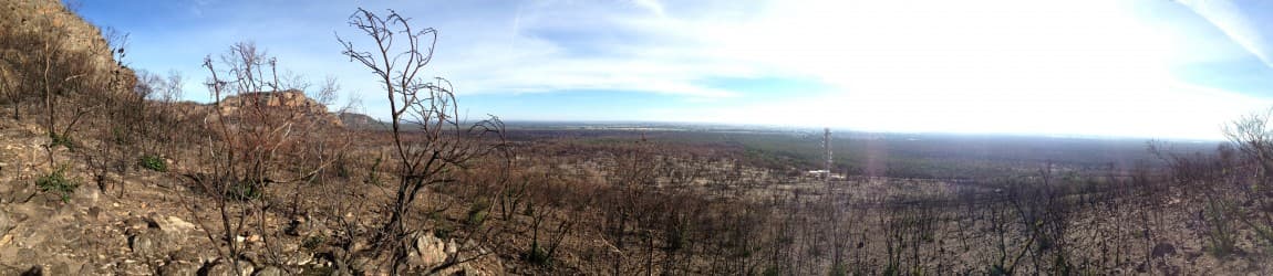 Seismic instrumentation and bushfires