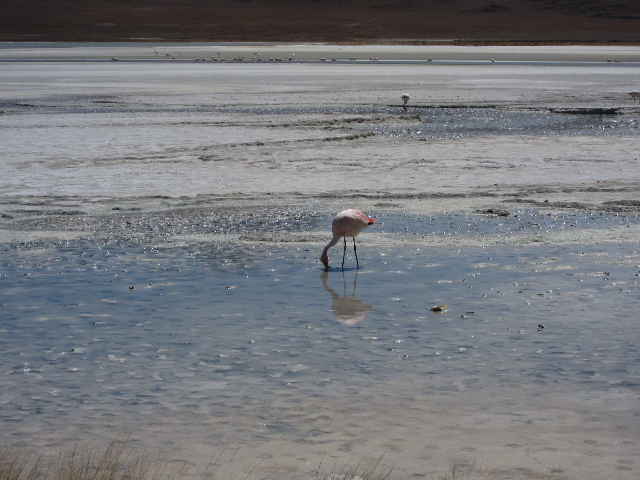 Electrical Conductivity – Water Quality Measurements