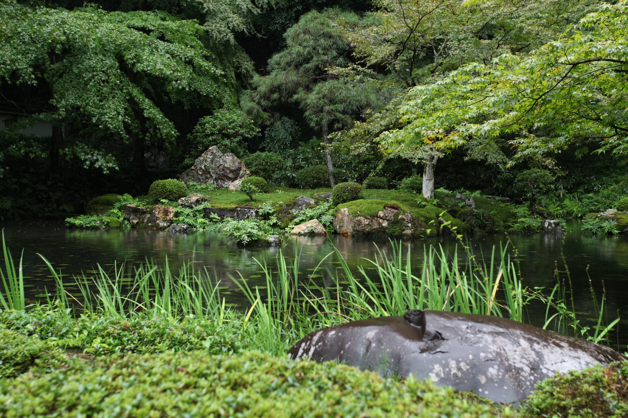 Water turbidity – why it is an important water quality measurement.