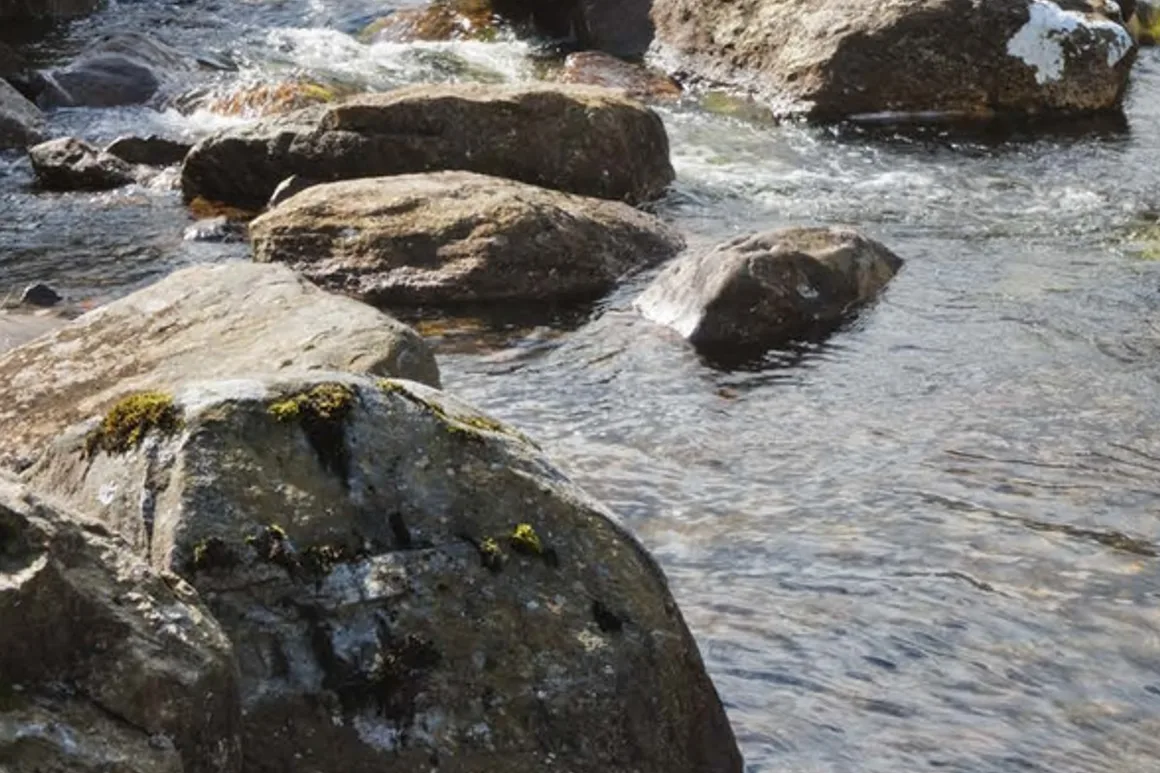 An inland river and its gauging site