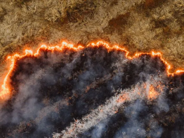 A grass fire front seen from the air